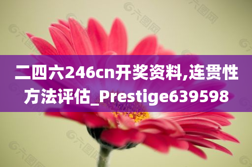 二四六246cn开奖资料,连贯性方法评估_Prestige639598