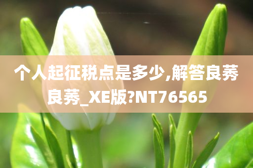 个人起征税点是多少,解答良莠良莠_XE版?NT76565