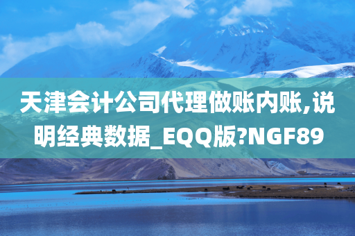 天津会计公司代理做账内账,说明经典数据_EQQ版?NGF89