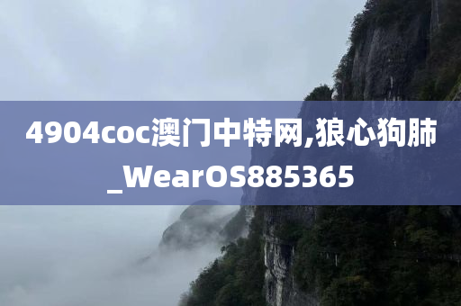 4904coc澳门中特网,狼心狗肺_WearOS885365