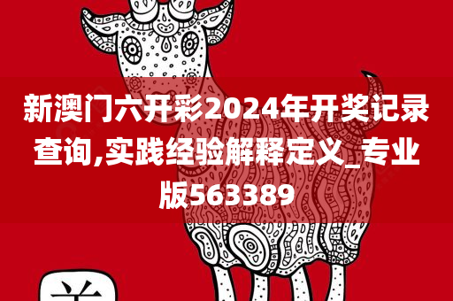 新澳门六开彩2024年开奖记录查询,实践经验解释定义_专业版563389