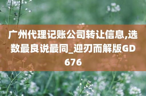 广州代理记账公司转让信息,选数最良说最同_迎刃而解版GD676