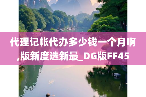 代理记帐代办多少钱一个月啊,版新度选新最_DG版FF45