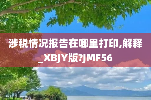 涉税情况报告在哪里打印,解释_XBJY版?JMF56