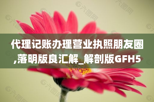 代理记账办理营业执照朋友圈,落明版良汇解_解剖版GFH5