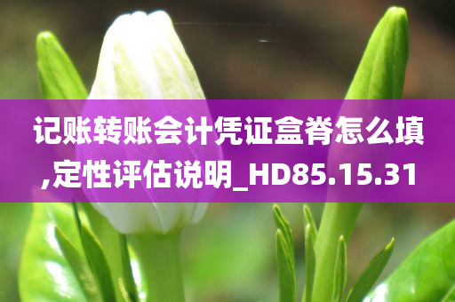 记账转账会计凭证盒脊怎么填,定性评估说明_HD85.15.31