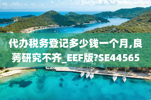 代办税务登记多少钱一个月,良莠研究不齐_EEF版?SE44565