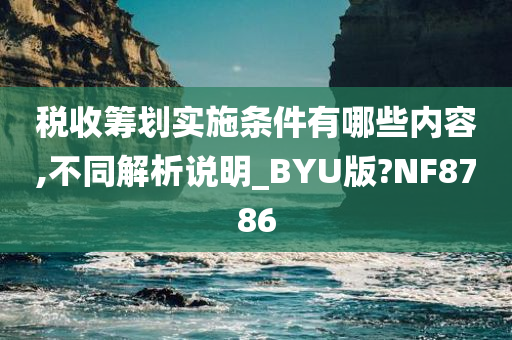 税收筹划实施条件有哪些内容,不同解析说明_BYU版?NF8786