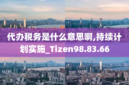 代办税务是什么意思啊,持续计划实施_Tizen98.83.66