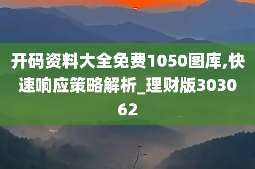 开码资料大全免费1050图库,快速响应策略解析_理财版303062