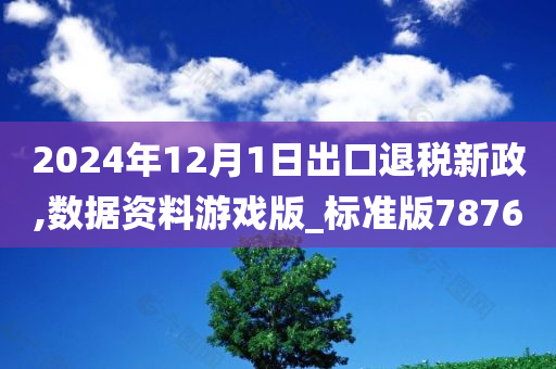 2024年12月1日出口退税新政,数据资料游戏版_标准版7876