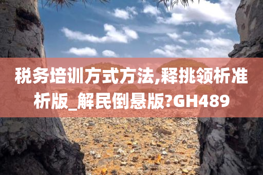 税务培训方式方法,释挑领析准析版_解民倒悬版?GH489