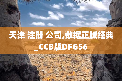 天津 注册 公司,数据正版经典_CCB版DFG56