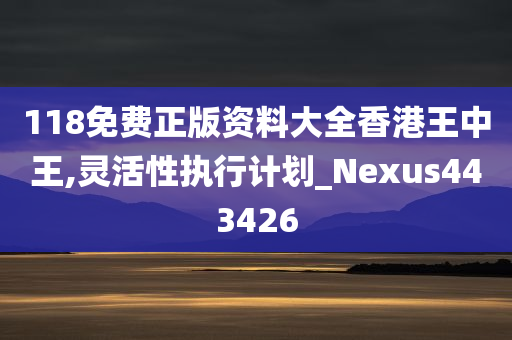 118免费正版资料大全香港王中王,灵活性执行计划_Nexus443426