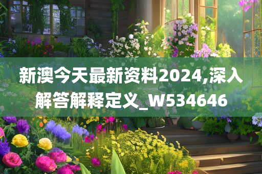 新澳今天最新资料2024,深入解答解释定义_W534646