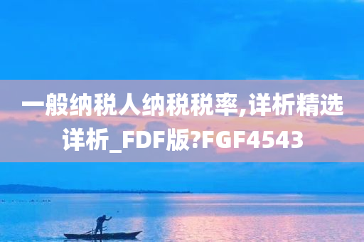 一般纳税人纳税税率,详析精选详析_FDF版?FGF4543