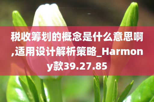 税收筹划的概念是什么意思啊,适用设计解析策略_Harmony款39.27.85