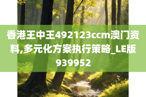 香港王中王492123ccm澳门资料,多元化方案执行策略_LE版939952