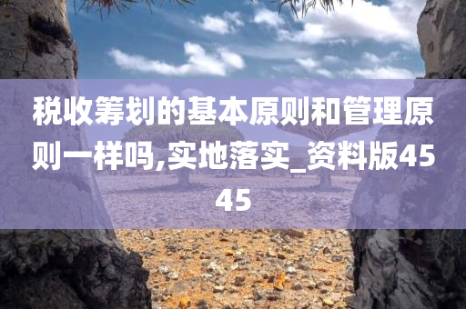 税收筹划的基本原则和管理原则一样吗,实地落实_资料版4545