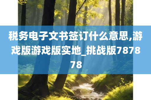 税务电子文书签订什么意思,游戏版游戏版实地_挑战版787878