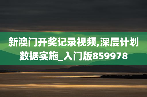 新澳门开奖记录视频,深层计划数据实施_入门版859978