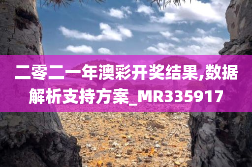 二零二一年澳彩开奖结果,数据解析支持方案_MR335917