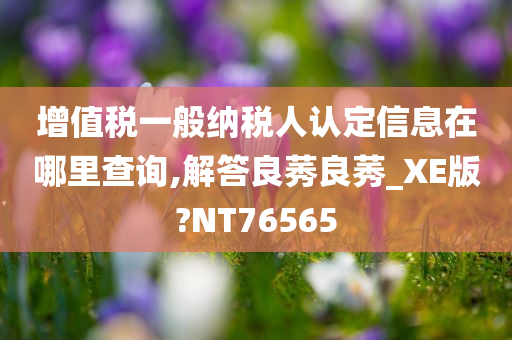 增值税一般纳税人认定信息在哪里查询,解答良莠良莠_XE版?NT76565