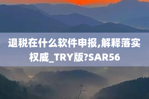 退税在什么软件申报,解释落实权威_TRY版?SAR56