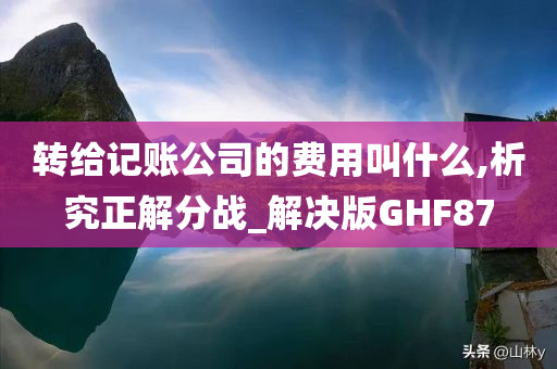 转给记账公司的费用叫什么,析究正解分战_解决版GHF87