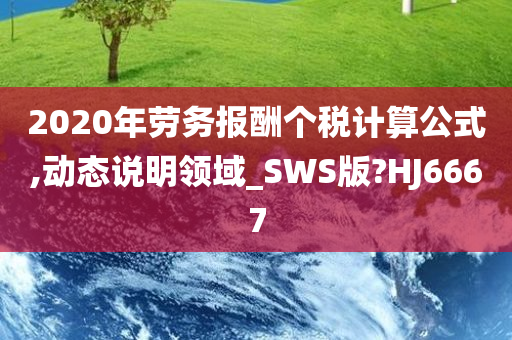 2020年劳务报酬个税计算公式,动态说明领域_SWS版?HJ6667