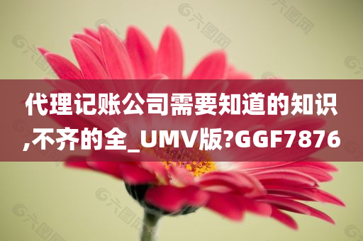 代理记账公司需要知道的知识,不齐的全_UMV版?GGF7876