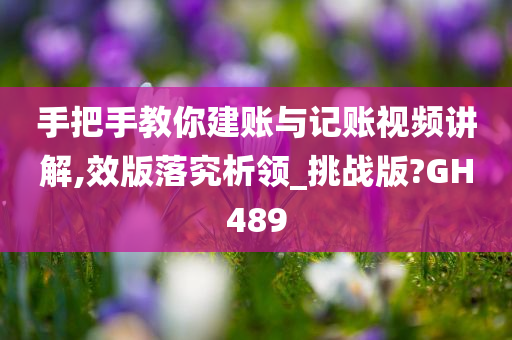 手把手教你建账与记账视频讲解,效版落究析领_挑战版?GH489