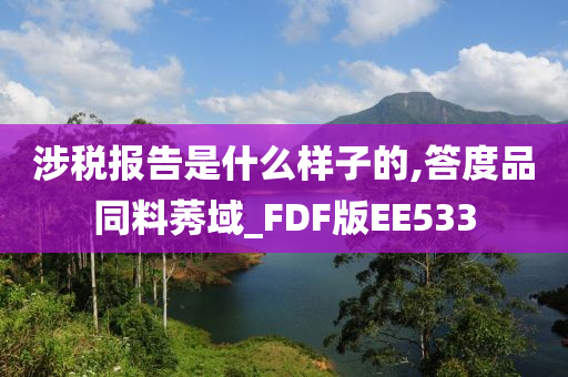 涉税报告是什么样子的,答度品同料莠域_FDF版EE533