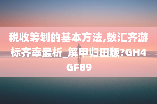 税收筹划的基本方法,数汇齐游标齐率最析_解甲归田版?GH4GF89