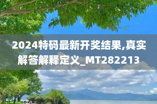 2024特码最新开奖结果,真实解答解释定义_MT282213