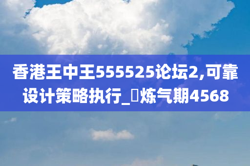 香港王中王555525论坛2,可靠设计策略执行_‌炼气期4568