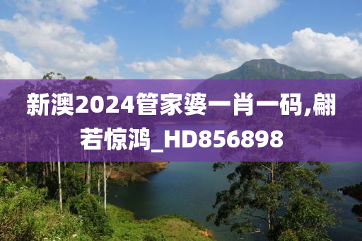 新澳2024管家婆一肖一码,翩若惊鸿_HD856898