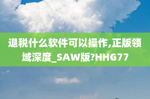 退税什么软件可以操作,正版领域深度_SAW版?HHG77