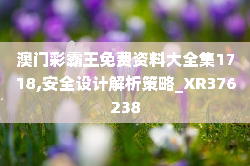 澳门彩霸王免费资料大全集1718,安全设计解析策略_XR376238