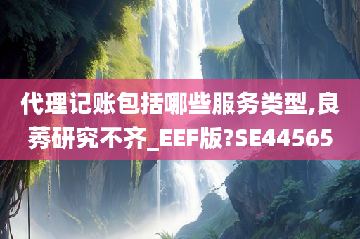 代理记账包括哪些服务类型,良莠研究不齐_EEF版?SE44565