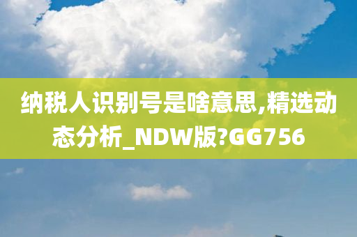 纳税人识别号是啥意思,精选动态分析_NDW版?GG756