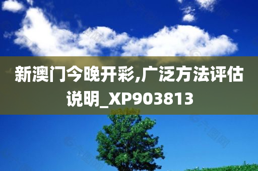 新澳门今晚开彩,广泛方法评估说明_XP903813