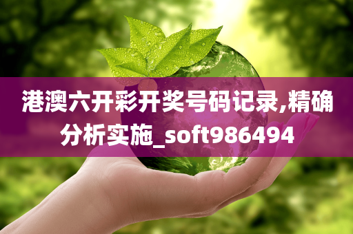 港澳六开彩开奖号码记录,精确分析实施_soft986494