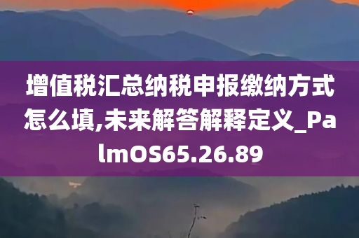 增值税汇总纳税申报缴纳方式怎么填,未来解答解释定义_PalmOS65.26.89