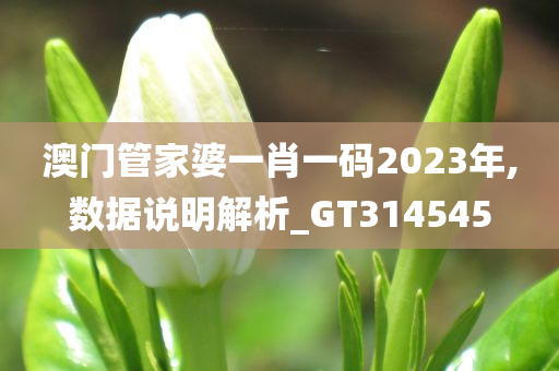 澳门管家婆一肖一码2023年,数据说明解析_GT314545