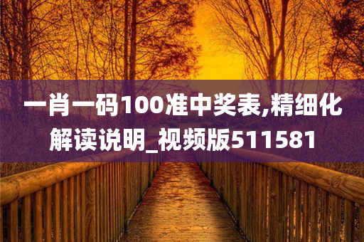 一肖一码100准中奖表,精细化解读说明_视频版511581