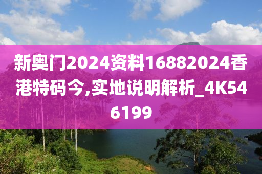 新奥门2024资料16882024香港特码今,实地说明解析_4K546199