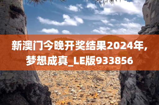 新澳门今晚开奖结果2024年,梦想成真_LE版933856