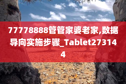 77778888管管家婆老家,数据导向实施步骤_Tablet273144