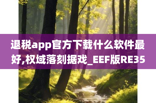 退税app官方下载什么软件最好,权域落刻据戏_EEF版RE35